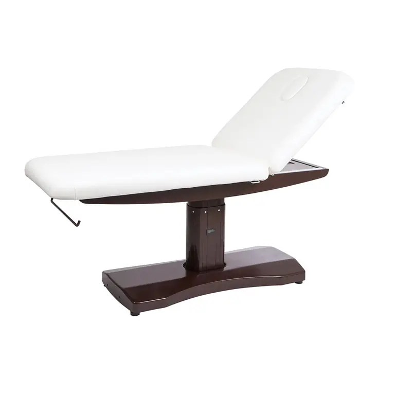 Table de massage Wellness 1A avec 2 moteurs